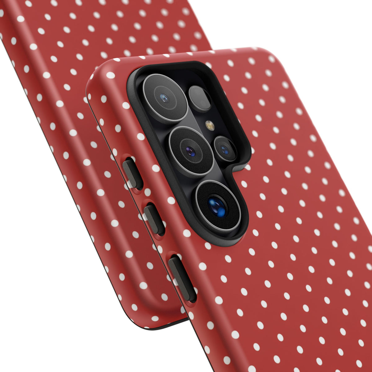 Ladybug V3