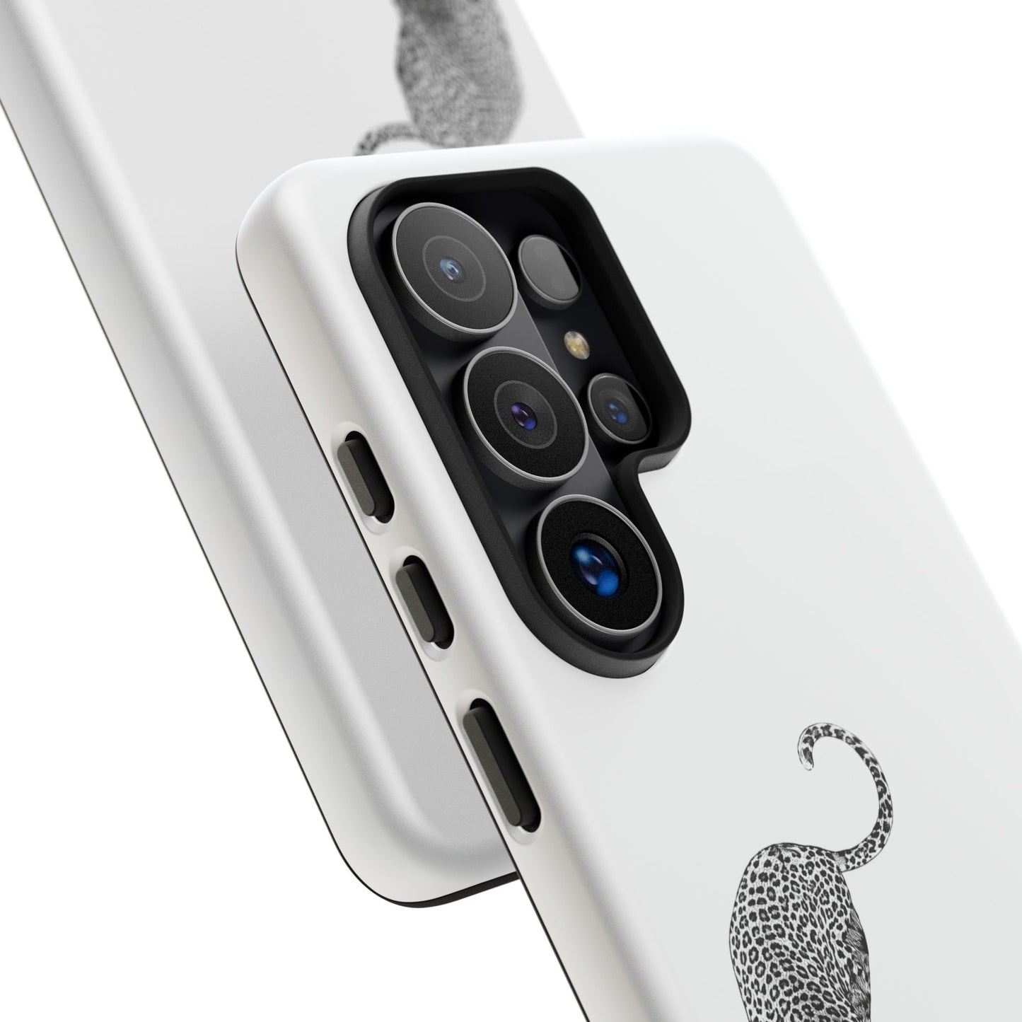 Leopard Stretch